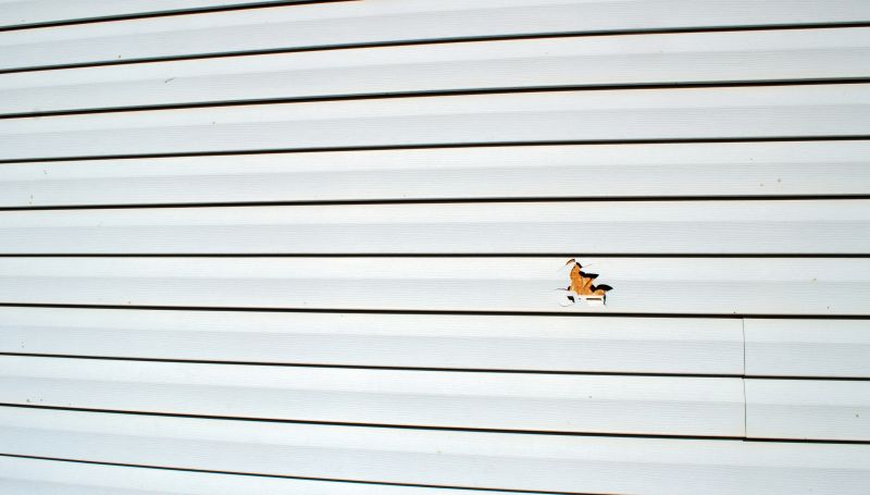 Repairing Existing Siding